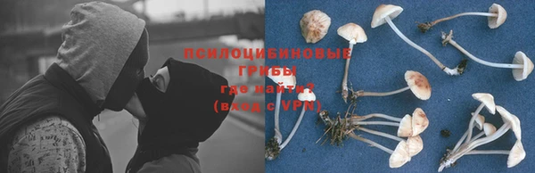 MDMA Ельня
