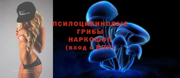 сатива Заводоуковск