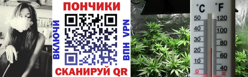 Купить  Спас-Деменск  Конопля ГИДРОПОН 